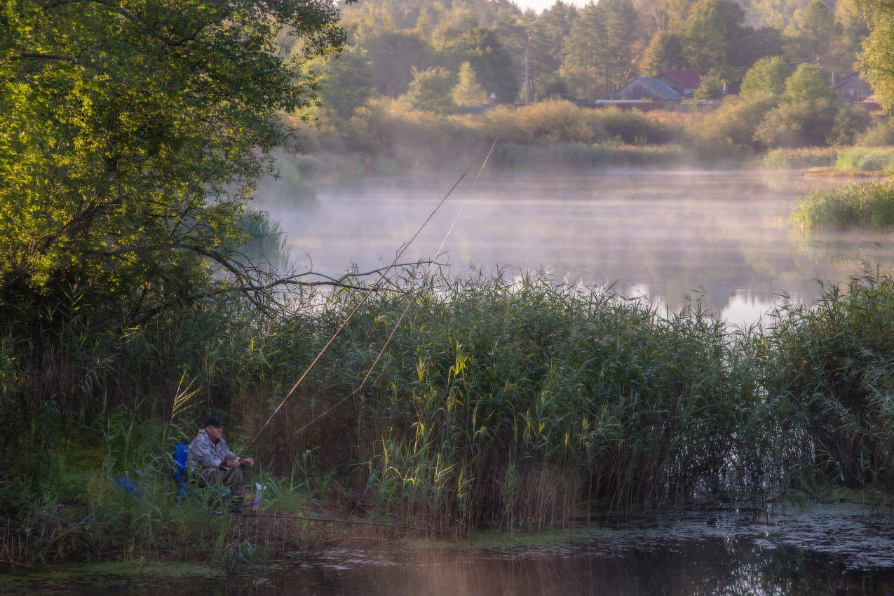 В тишине рассвета