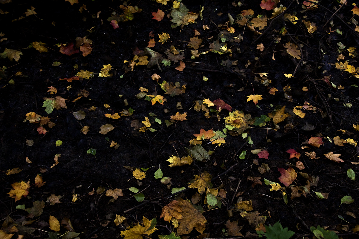 Осеннее настроение 7