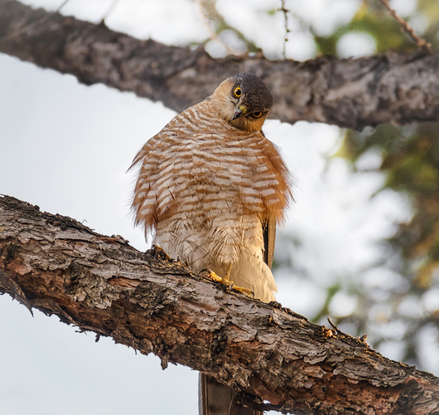 Свой ракурс.