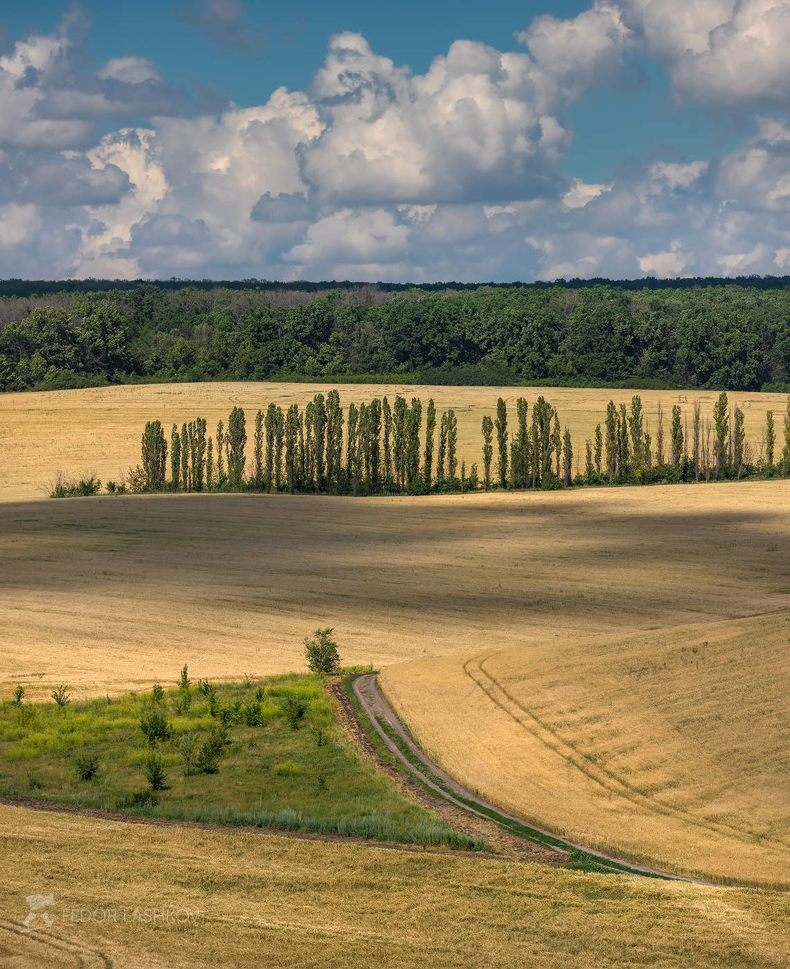Полевое Белогорье