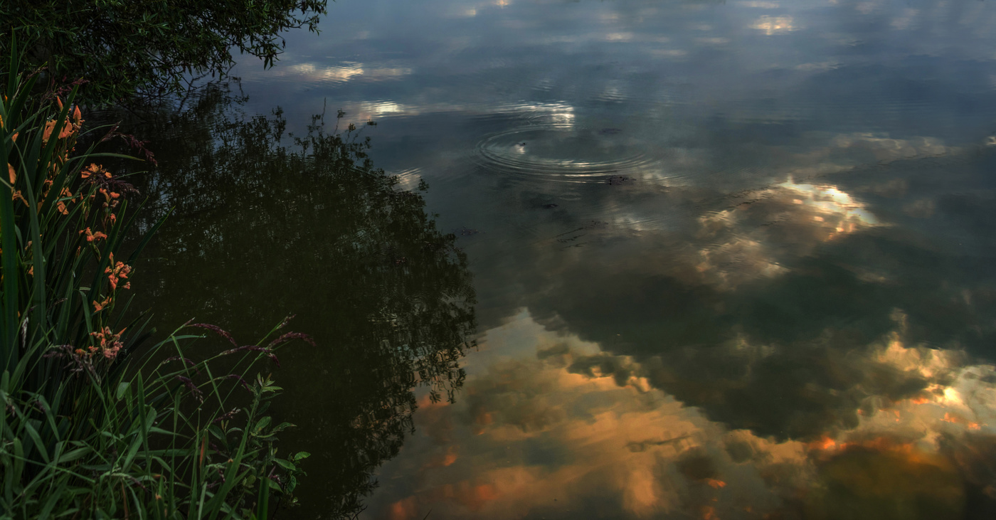 На утренней зорьке.