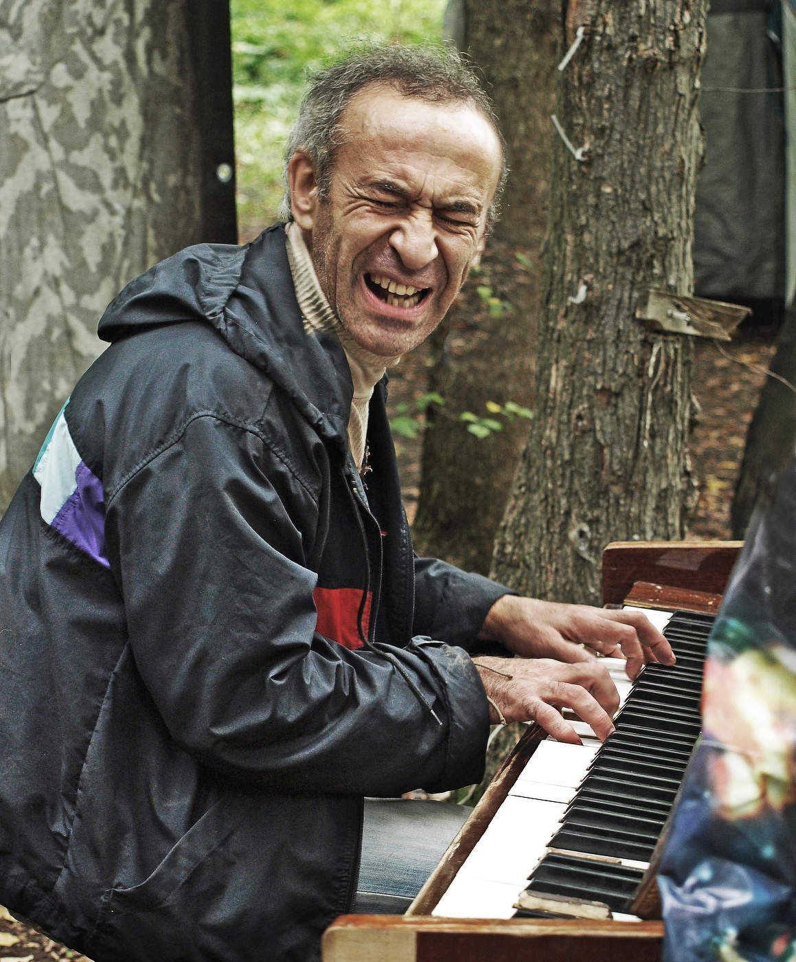 Рояль в кустах