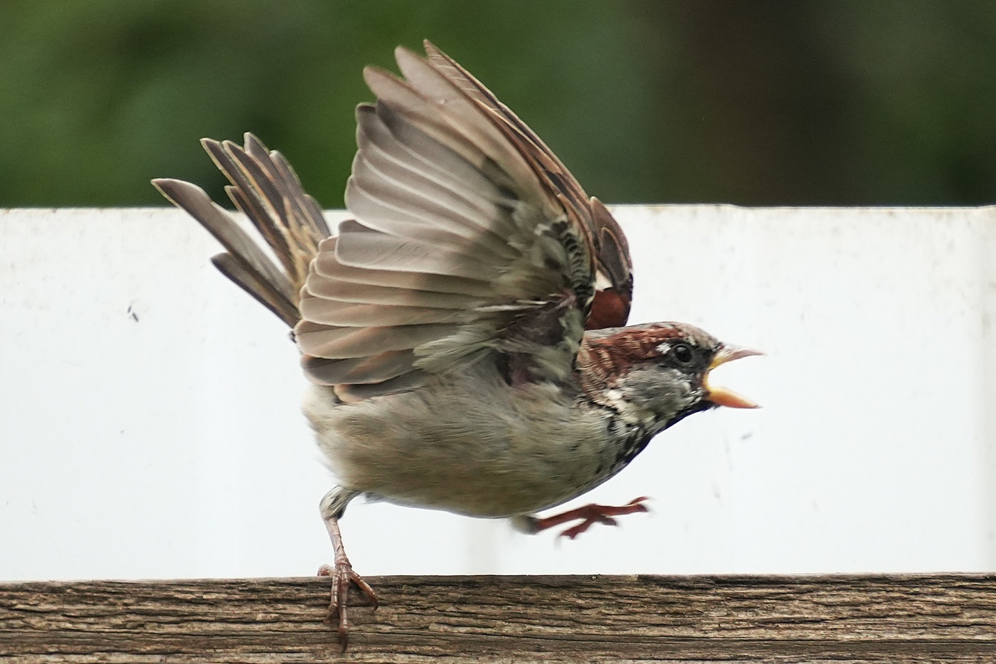 Я очень зол