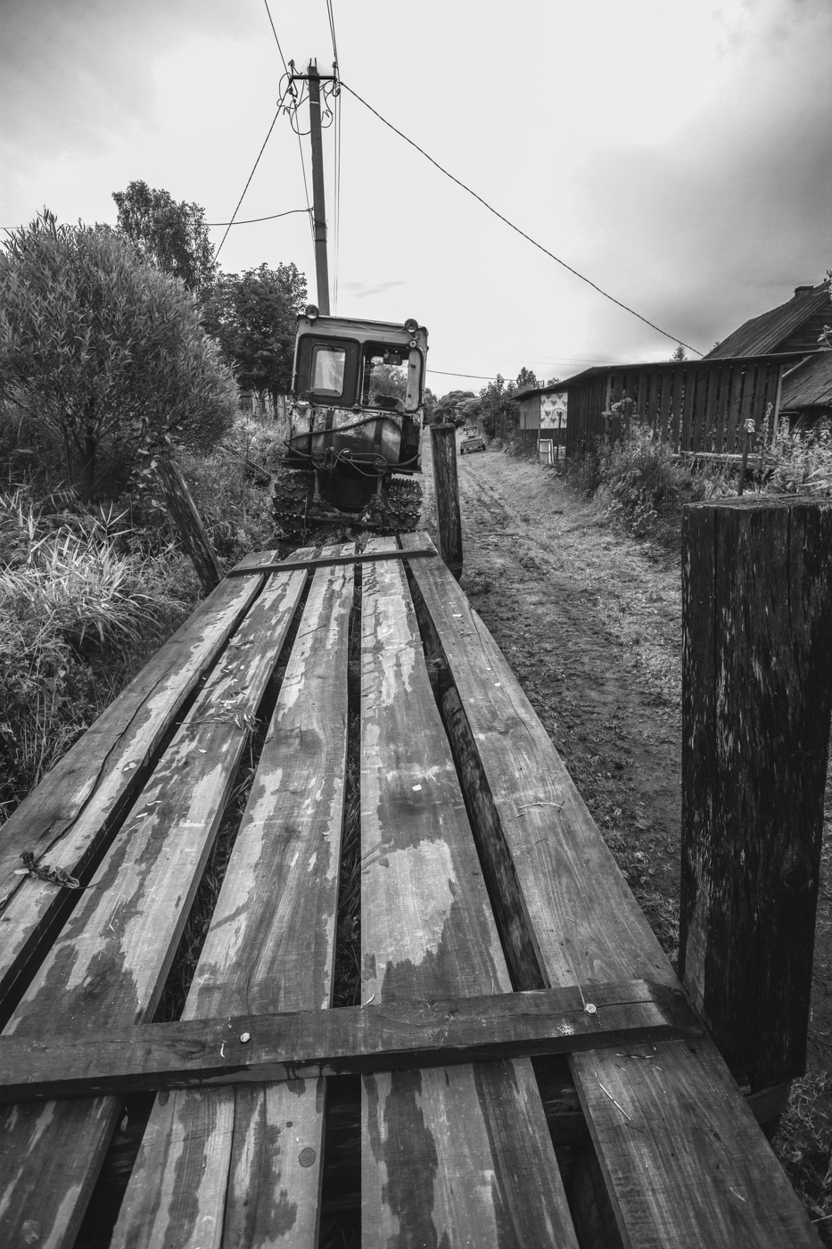 Жизнь вокруг