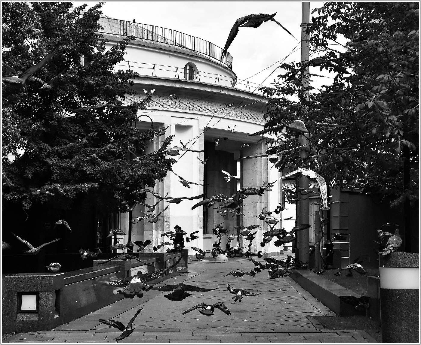 ..... Птицы .....