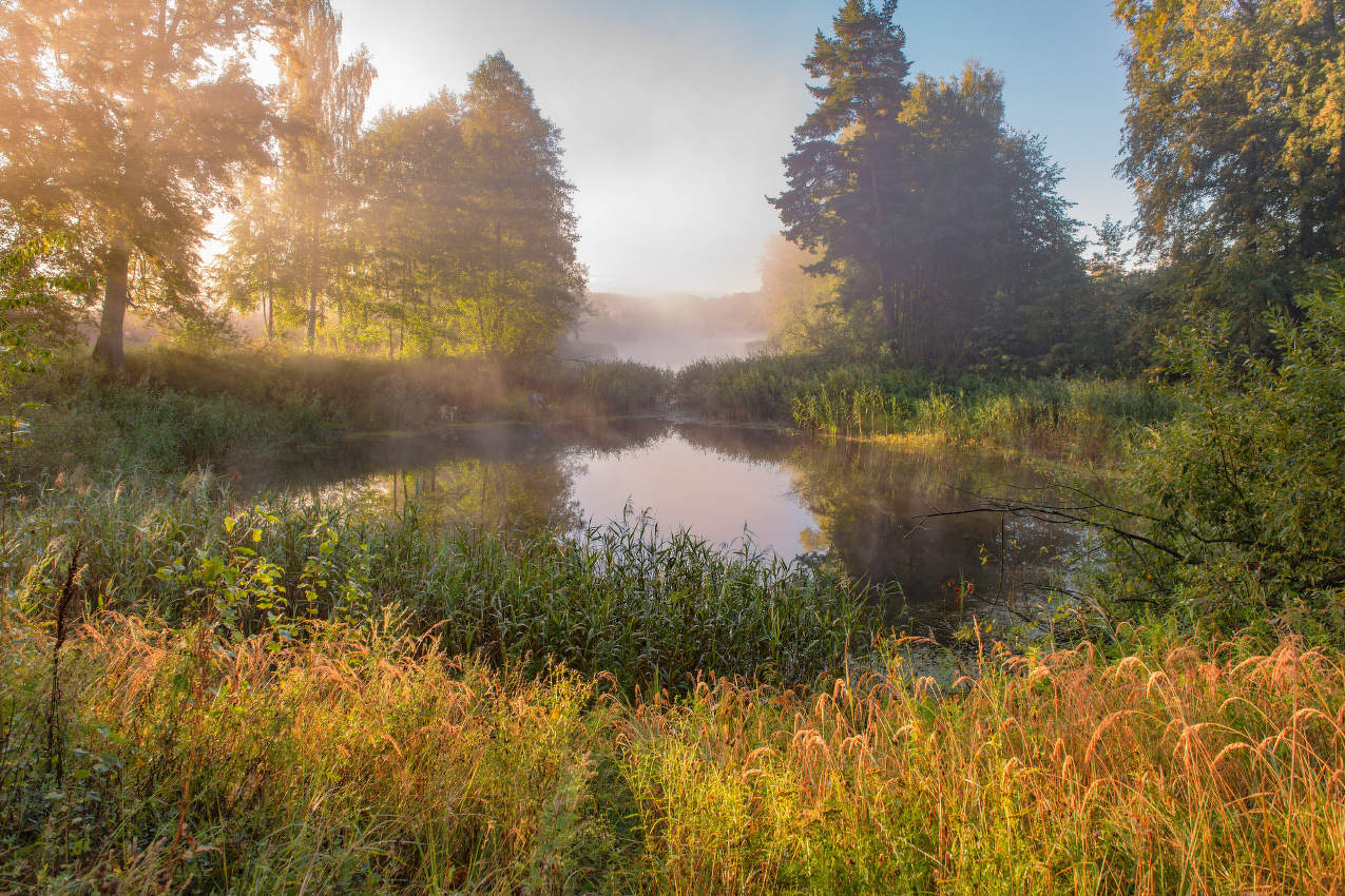 Пивоварово.