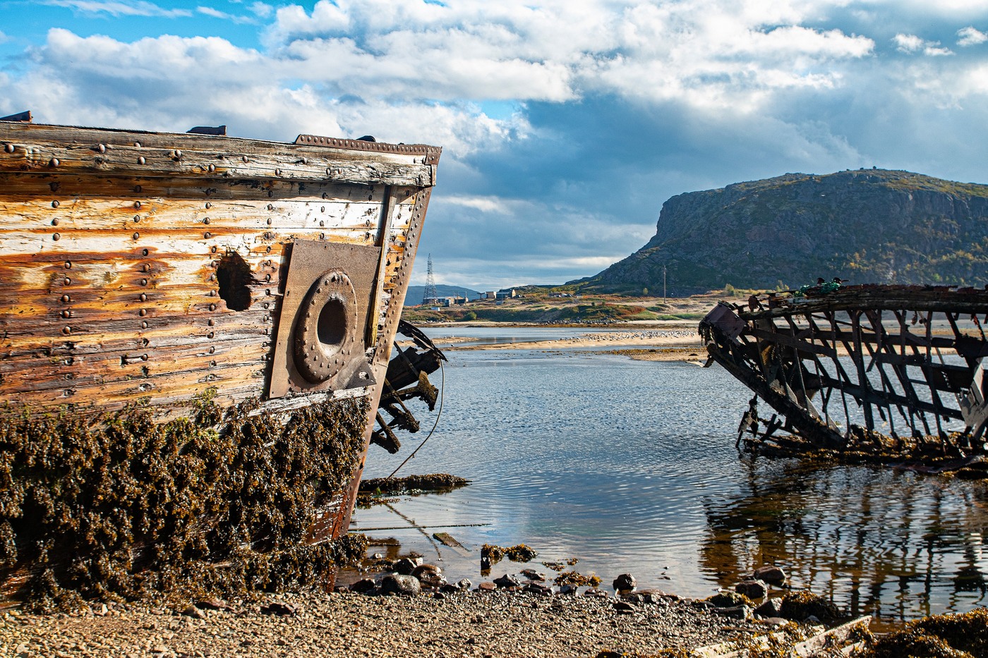 Спящие киты