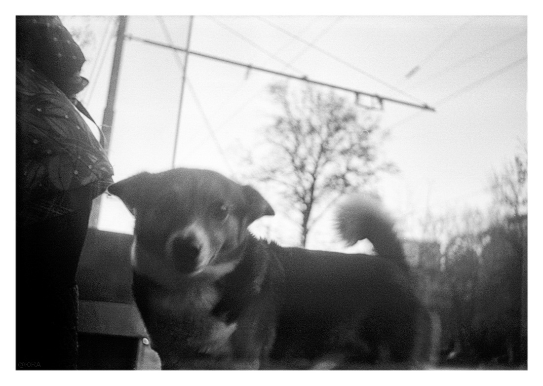 Кто ты? Што ты такое?