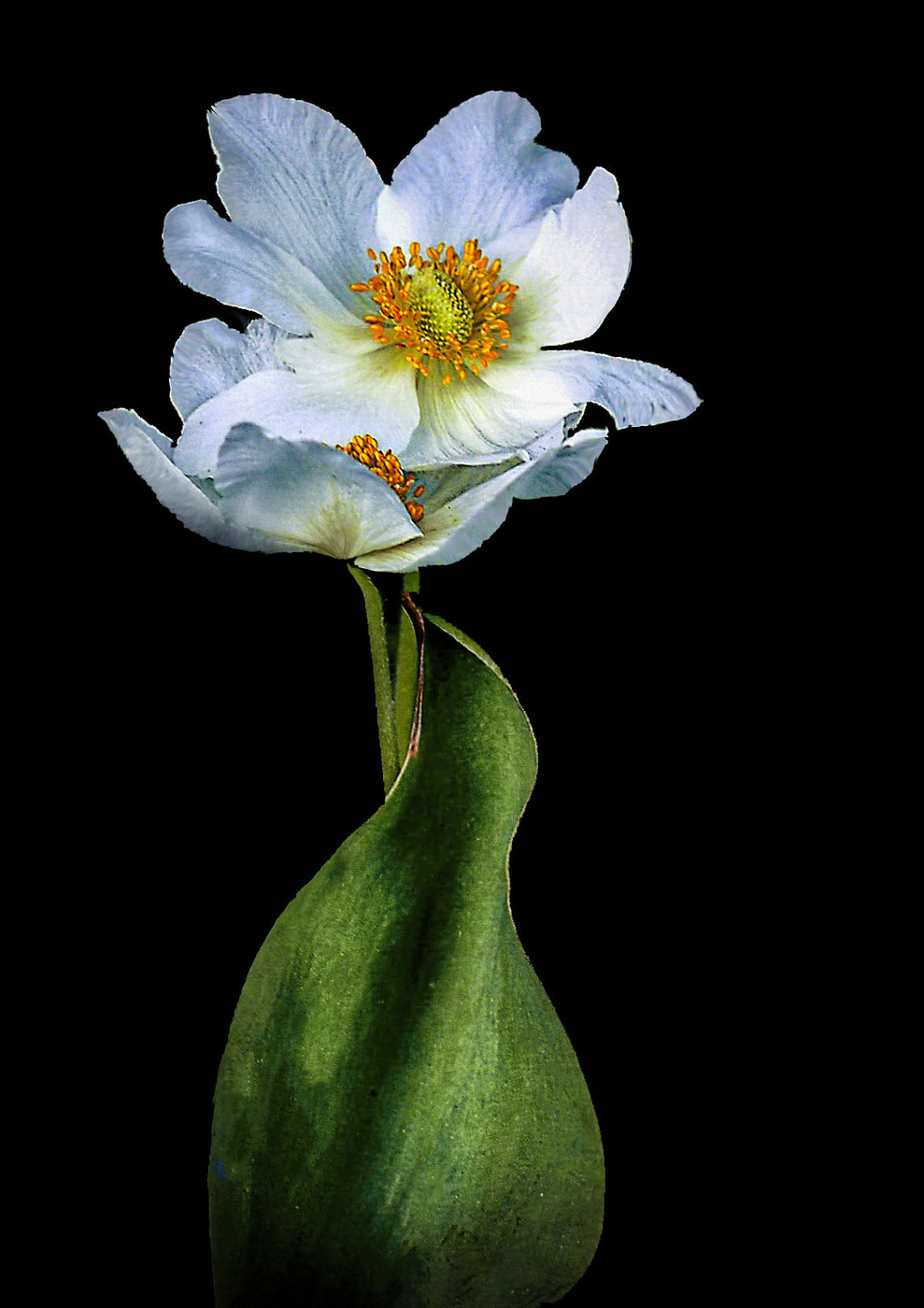 " С любимыми не расставайтесь..."