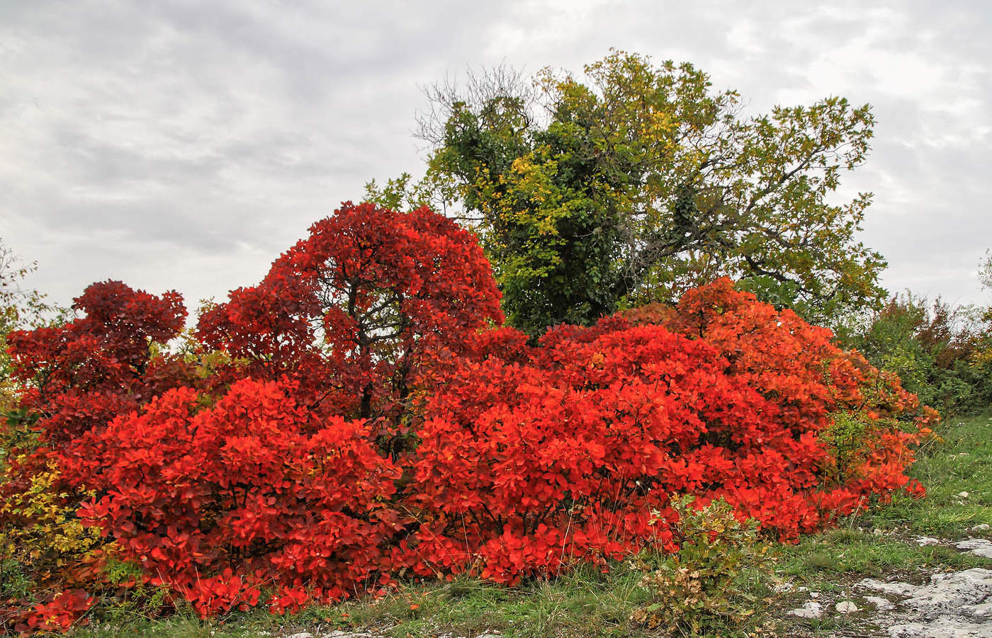Скоро осень...