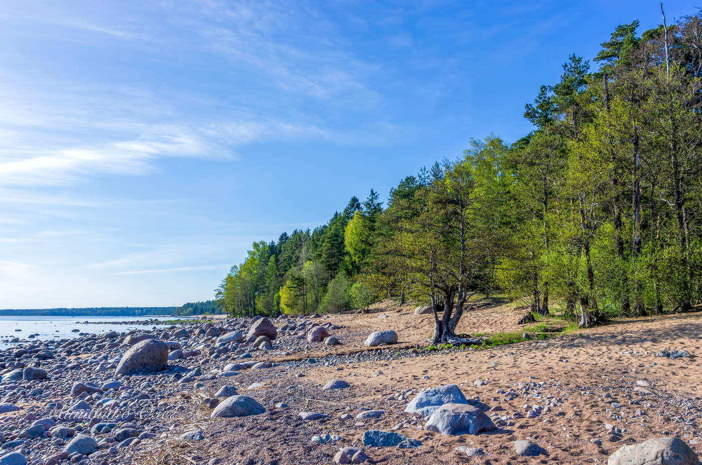 Финский залив весной.