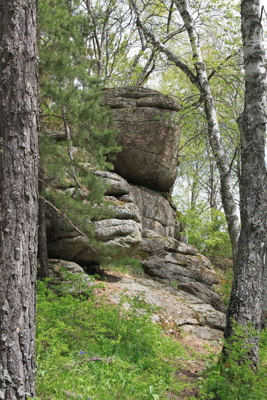 На Белокурихе