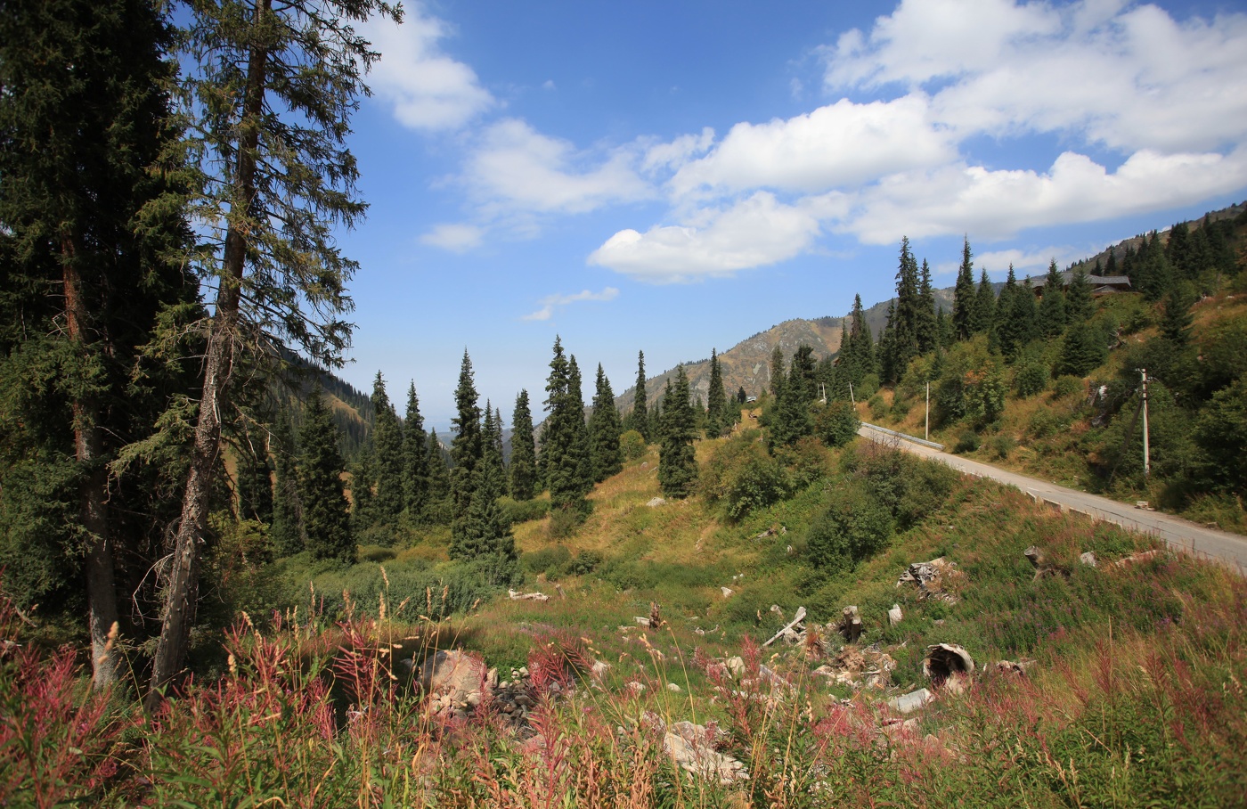 В конце лета