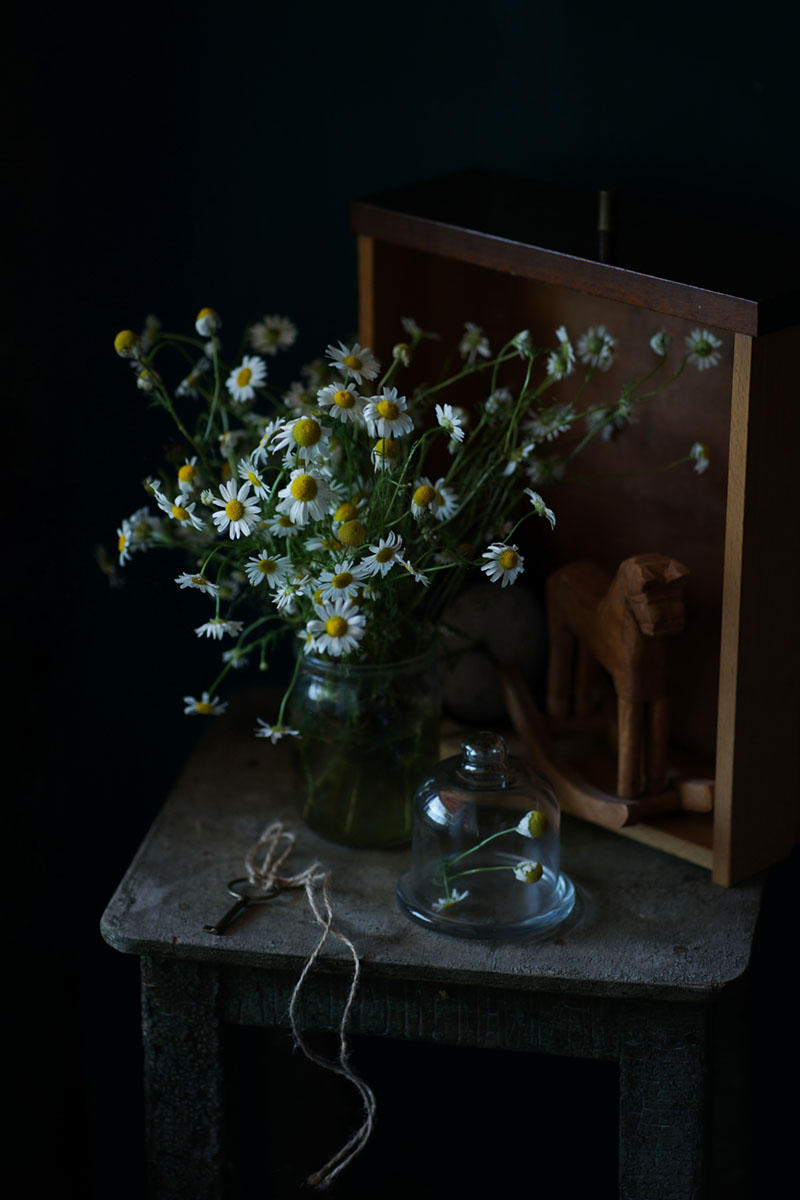 С ромашками...