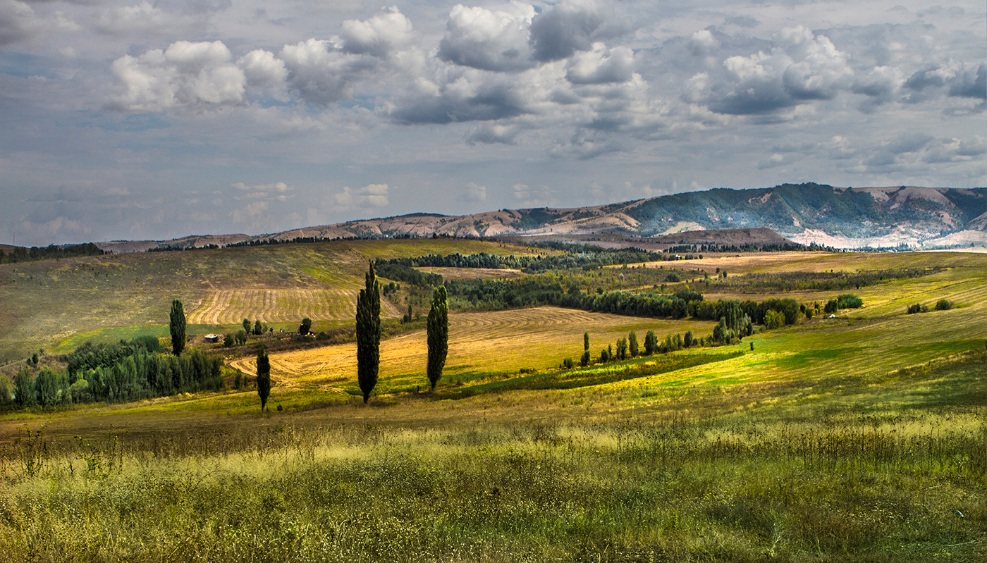 Осенние поля