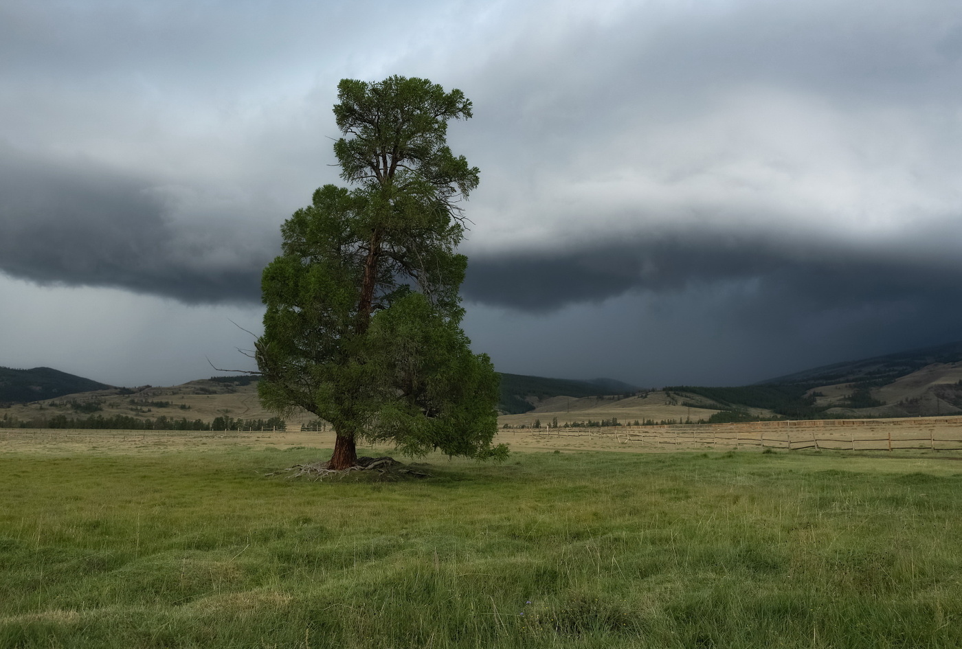 Перед грозой