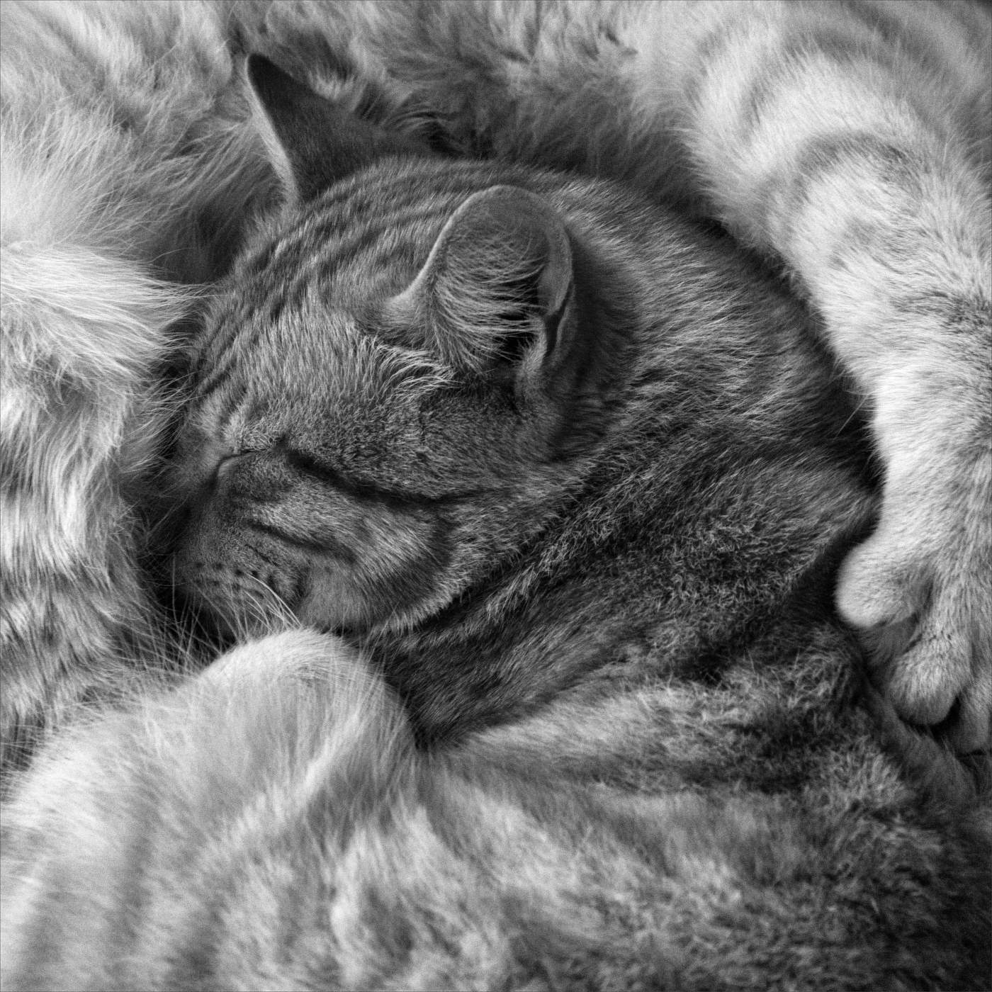 Жизнь вокруг