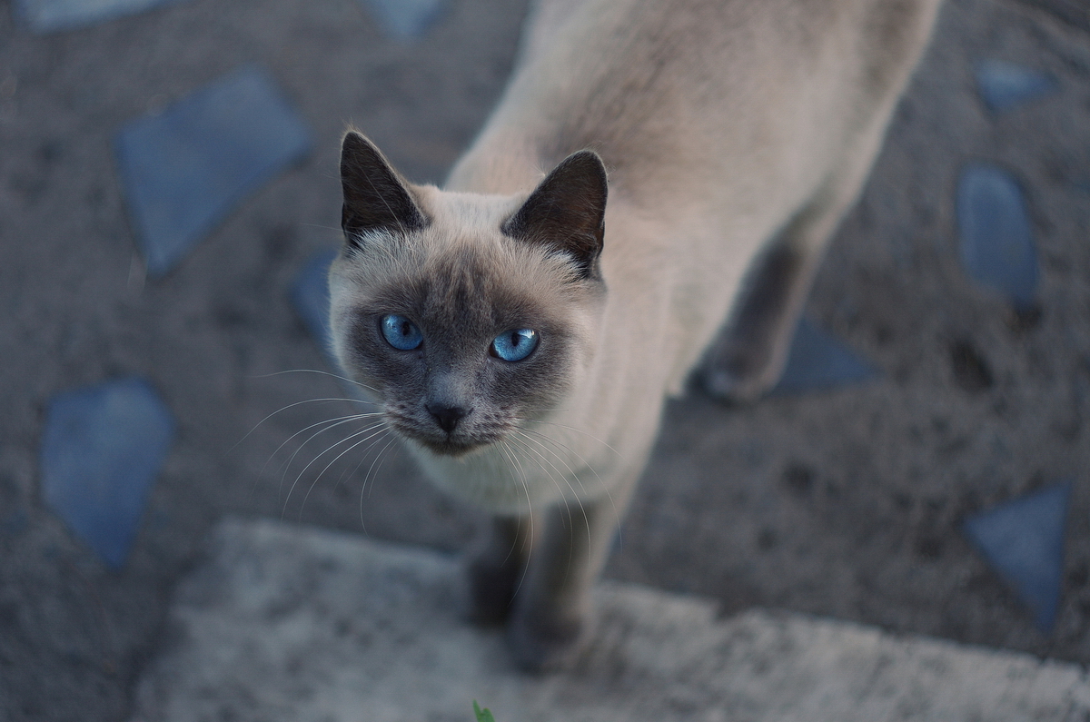 Неожиданный визит