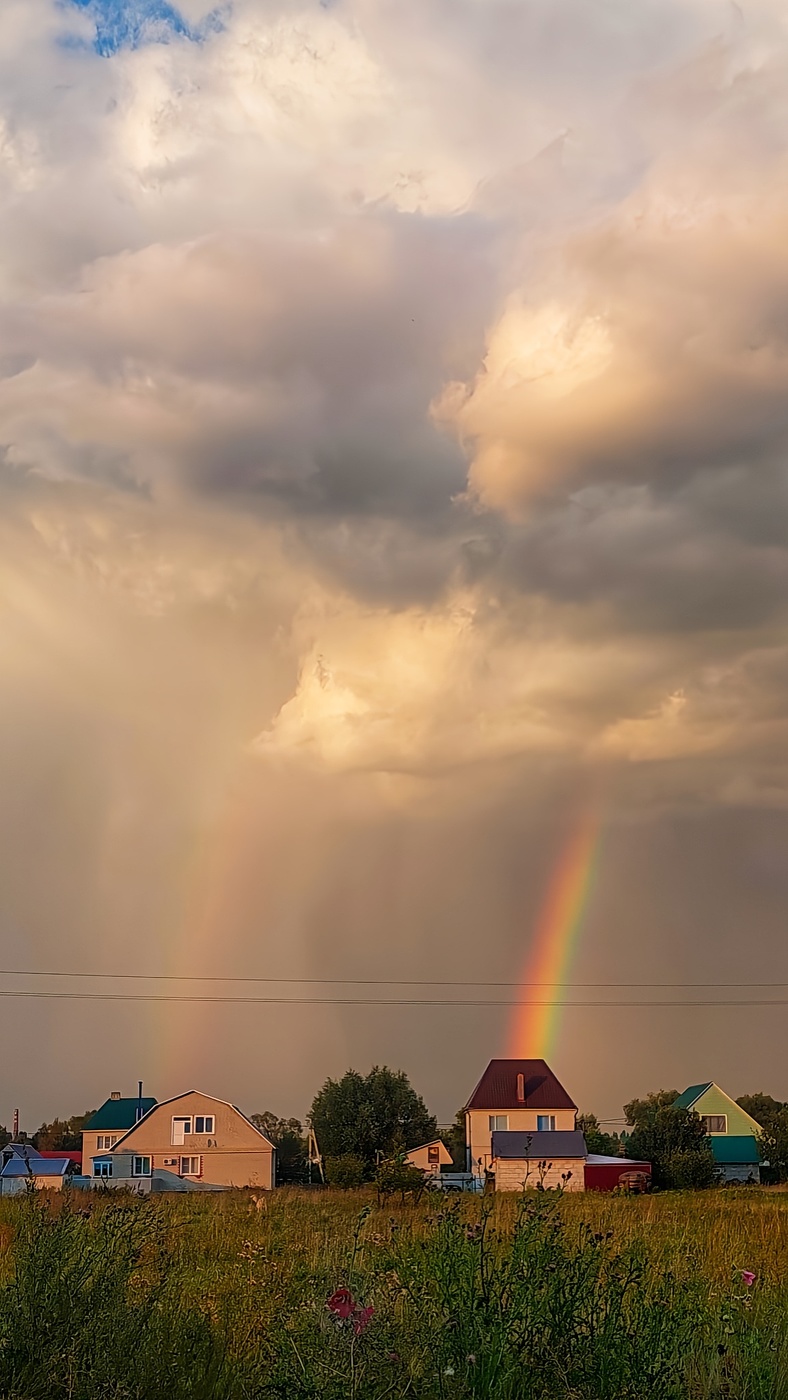 После дождя