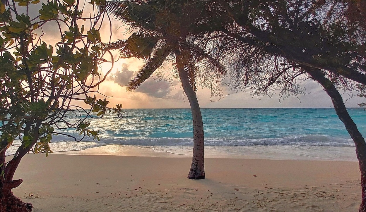 На берегу лазурного моря