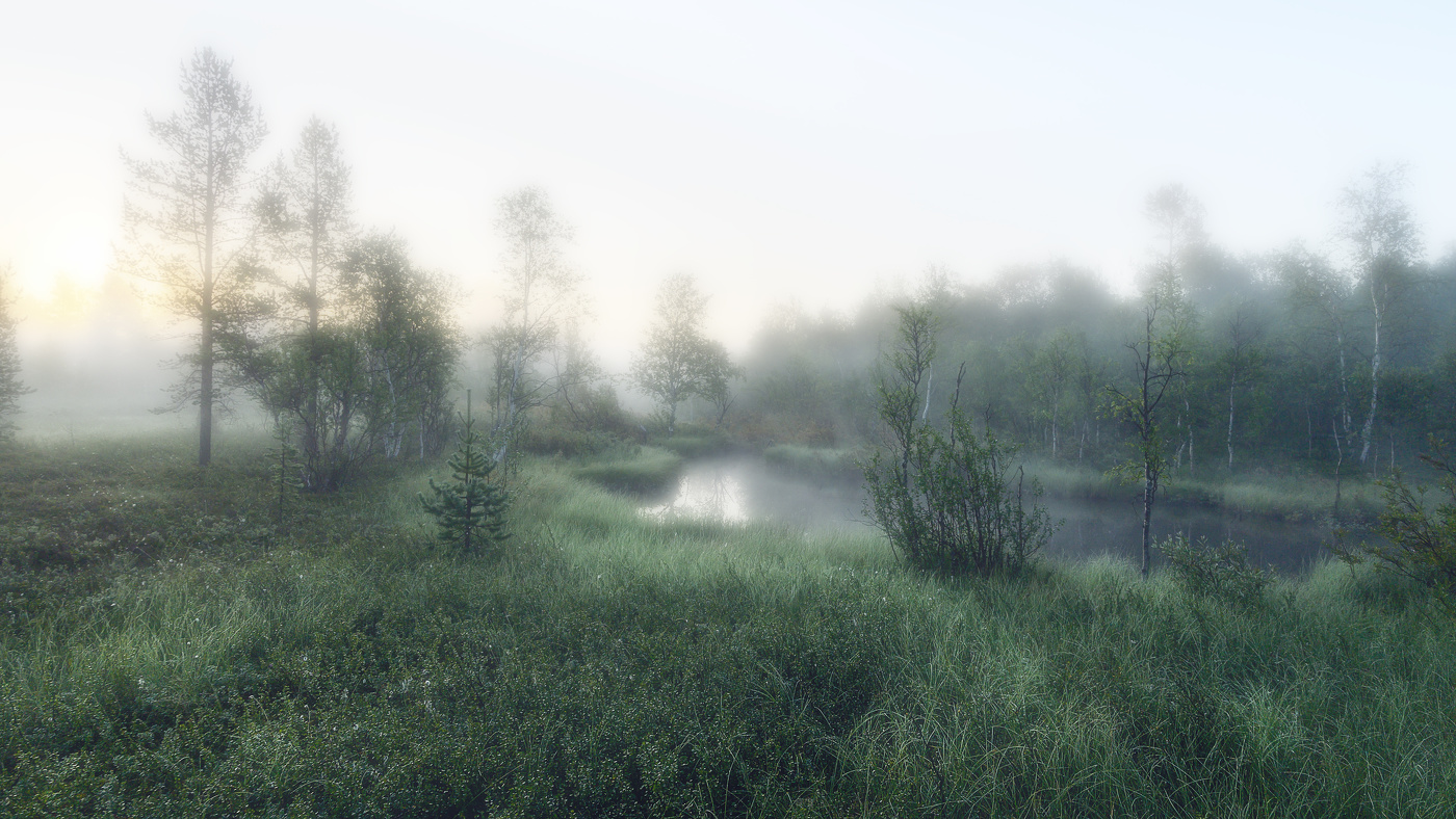 На рассвете