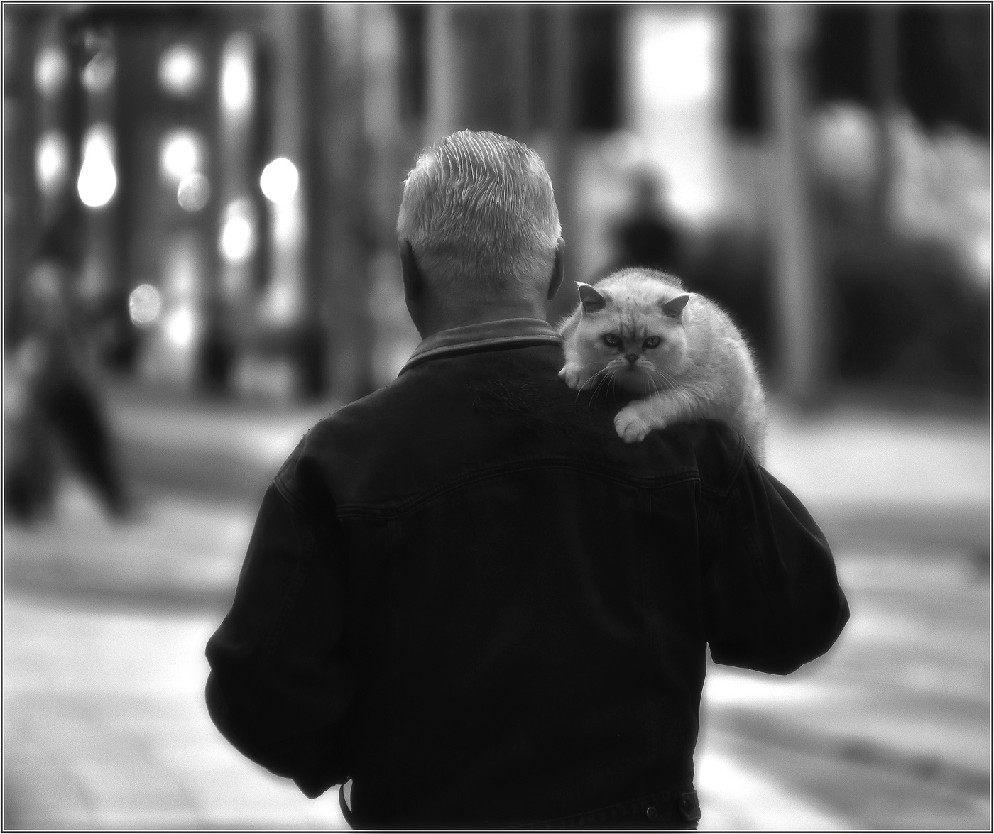 ...... Гуляем .....