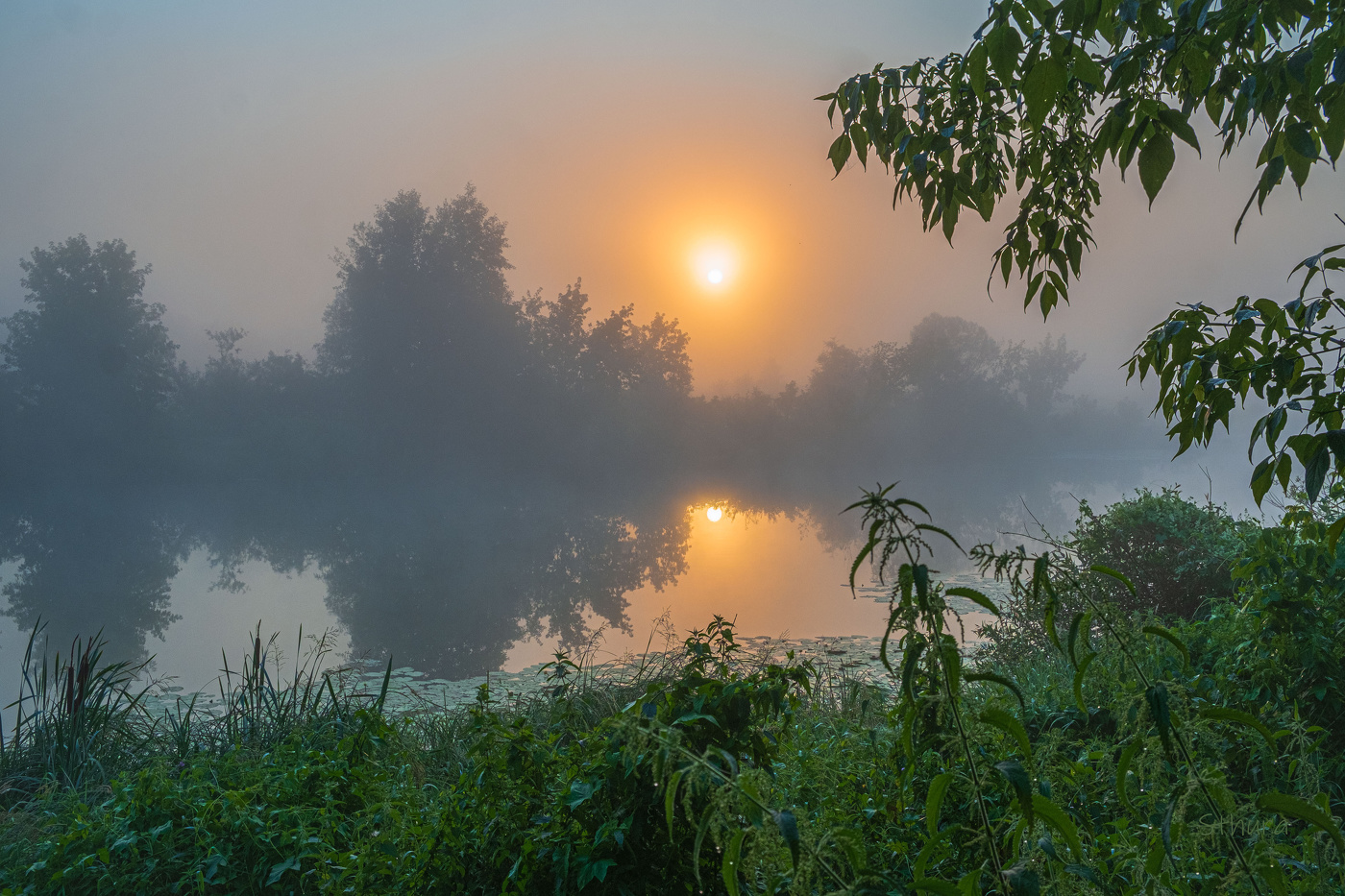 Летнее утро.