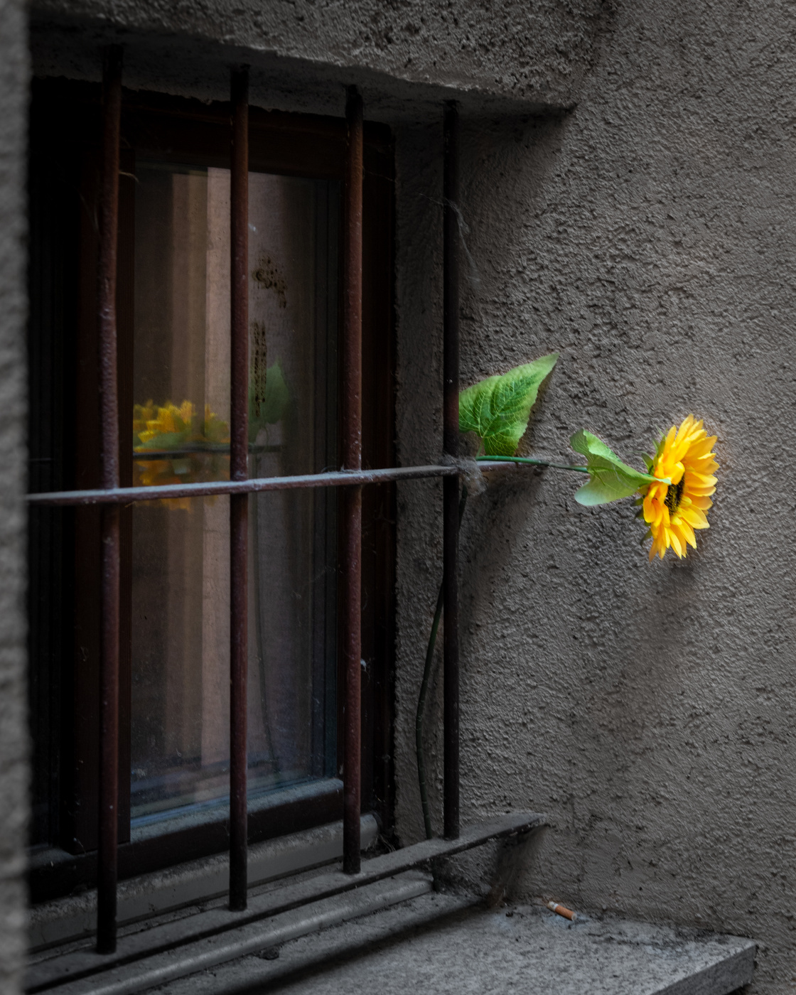 отпусти на волю