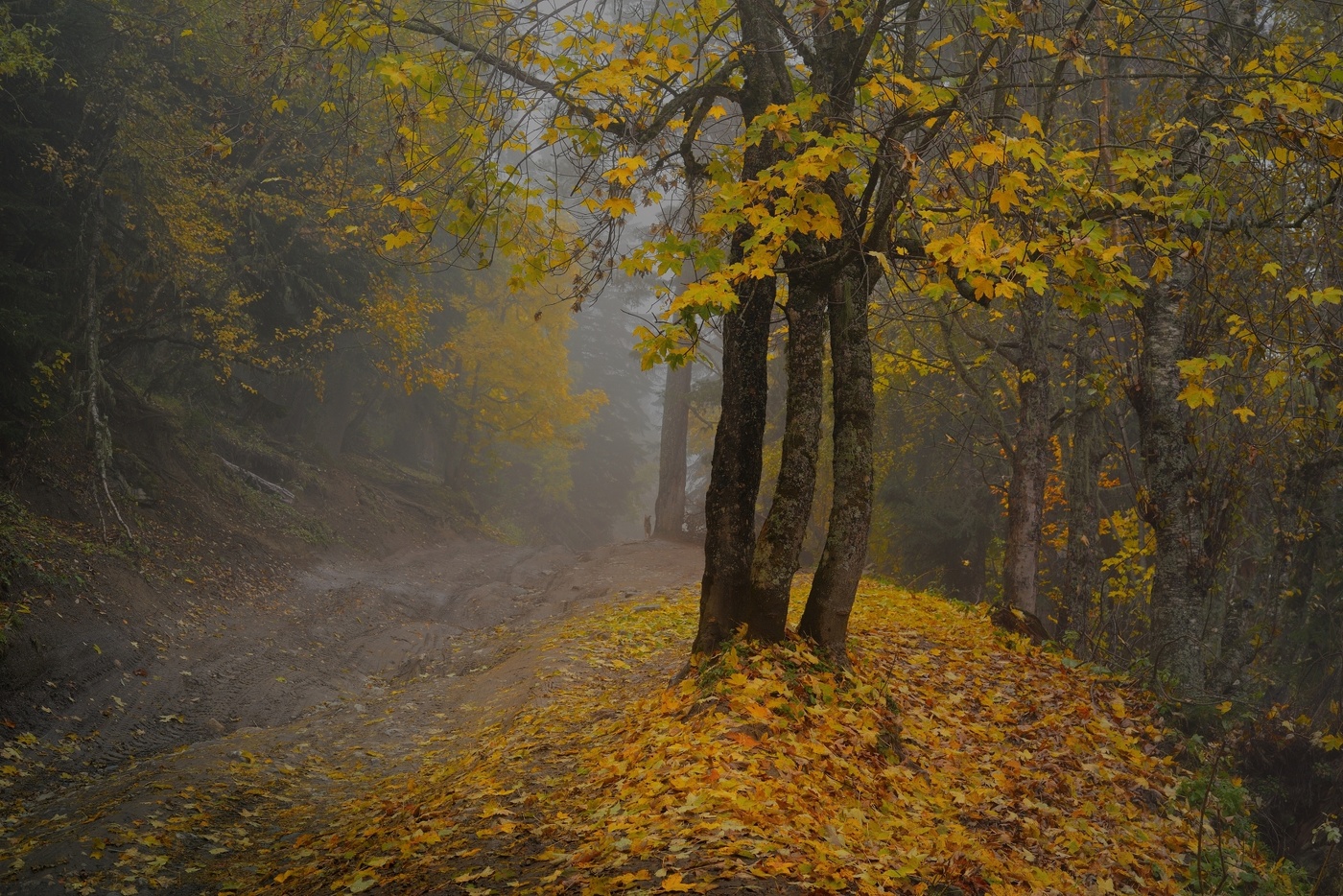 Осенняя дорога в горах