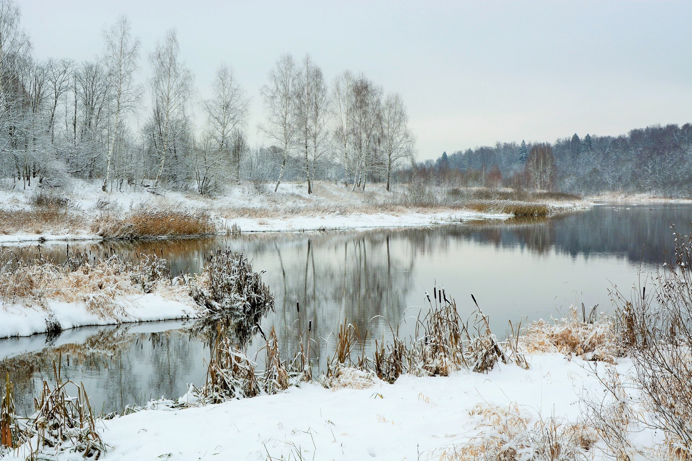 Ноябрь. Первый снег ...