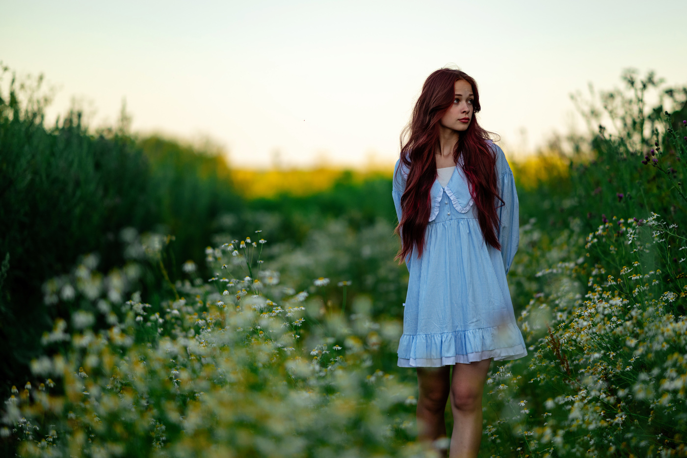 Ангелина Алексеевна