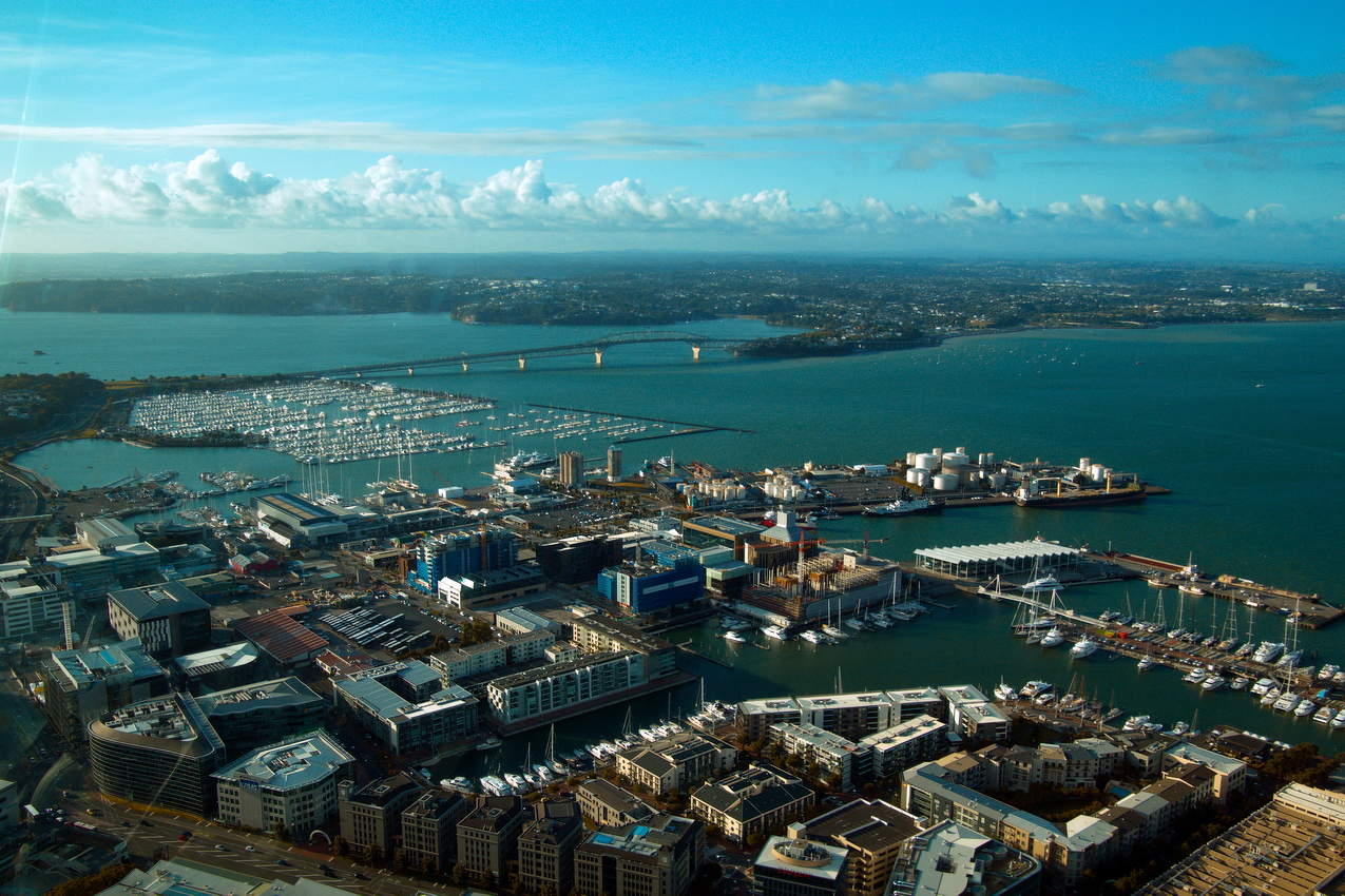 Утро в Окланде