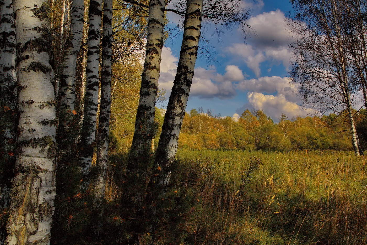 *На исходе лета.**