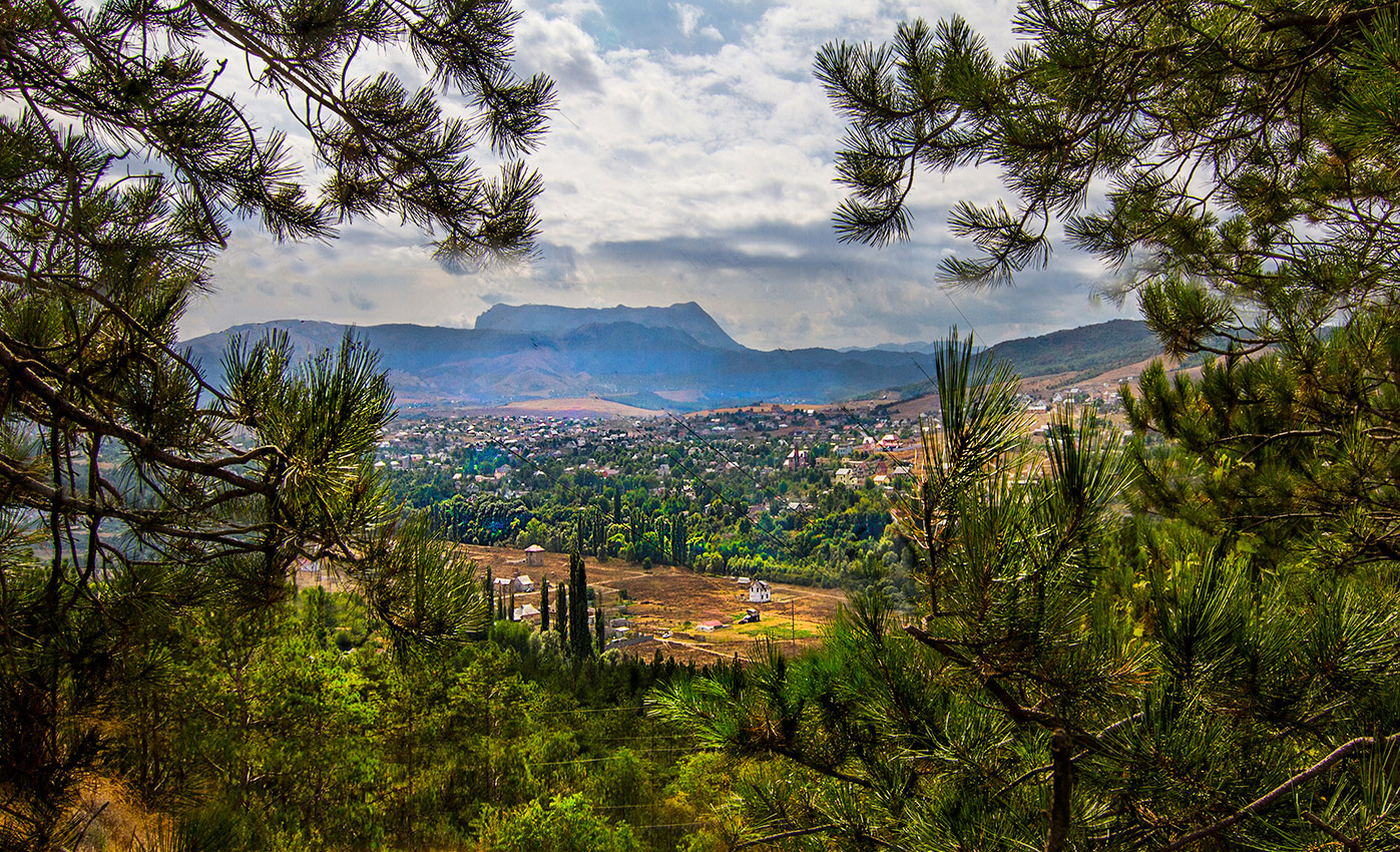 Фрагмент природы