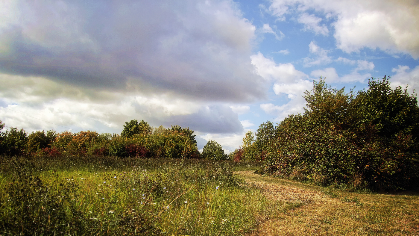 Конец августа