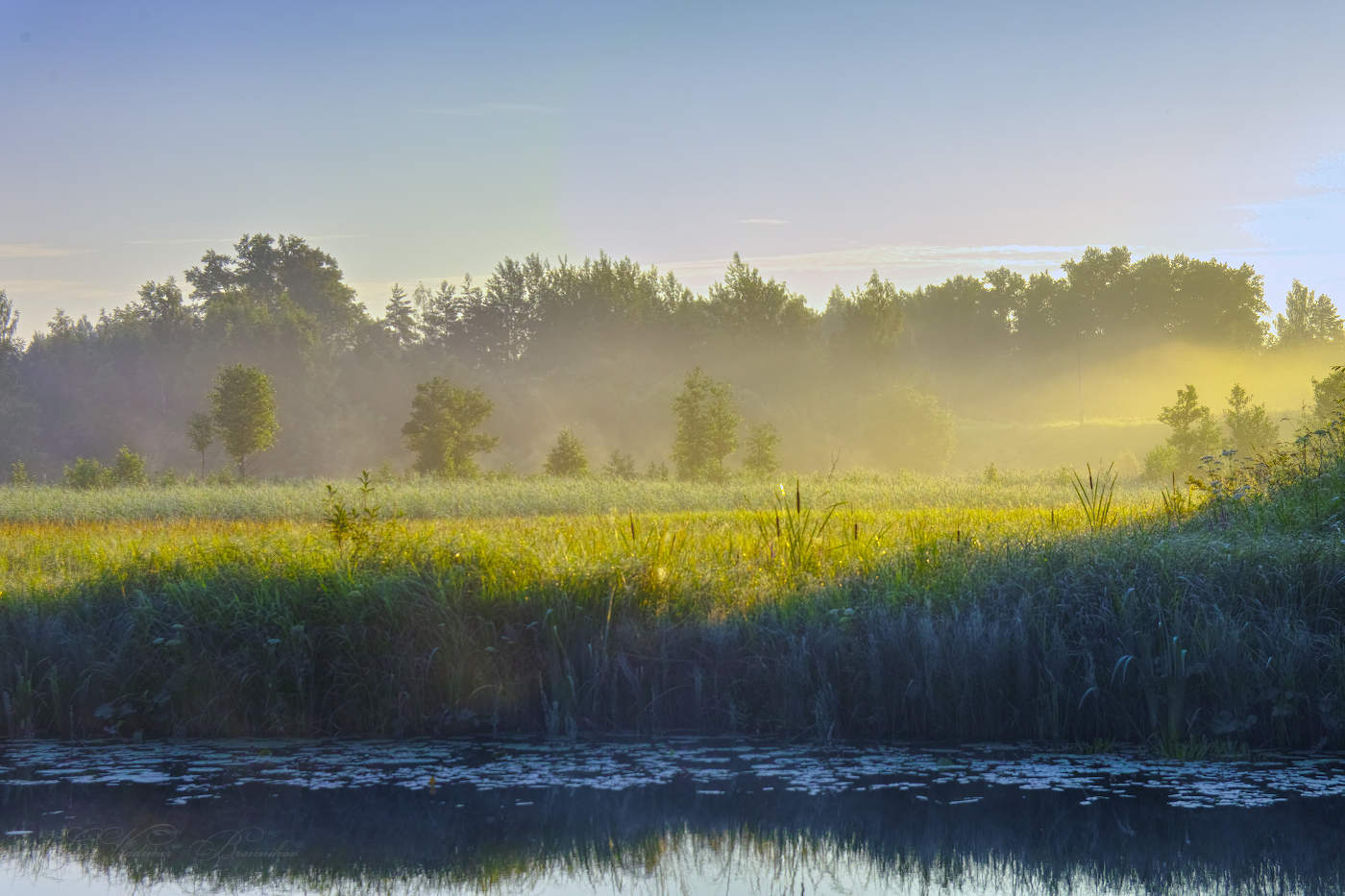 Туман и солнце