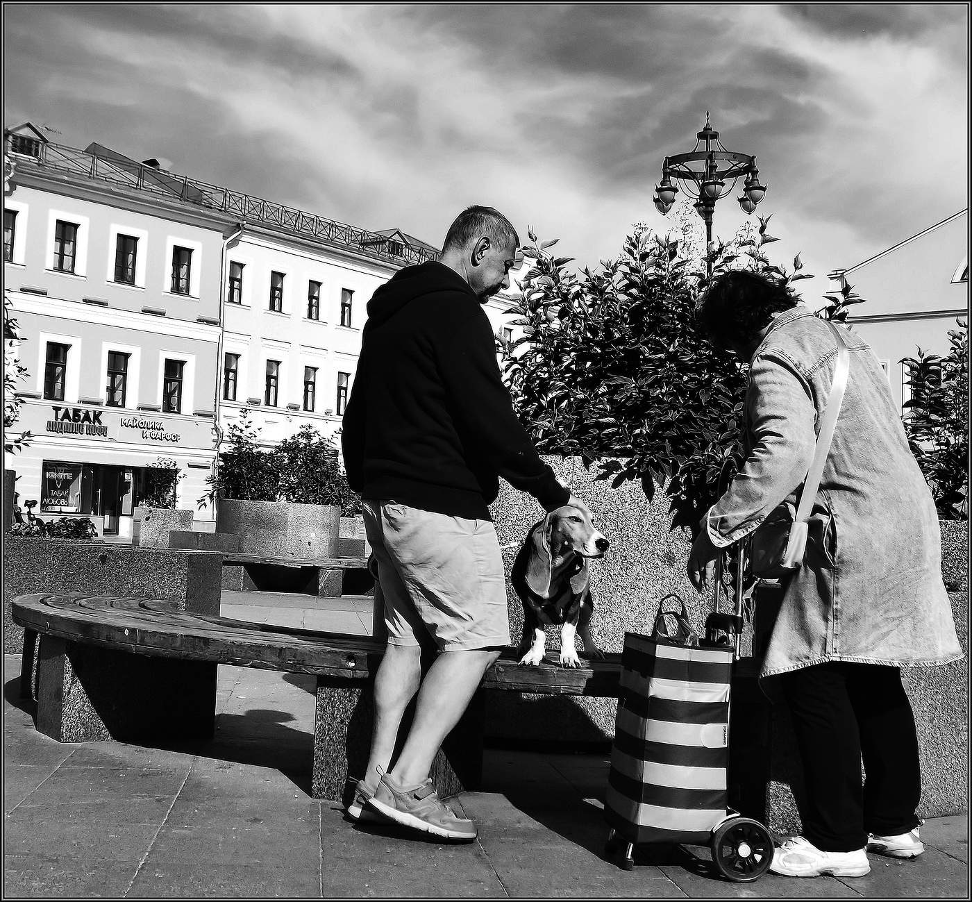 ..... Хороший Пёс .....