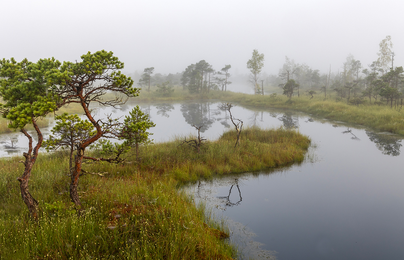 Танец не фоне тумана