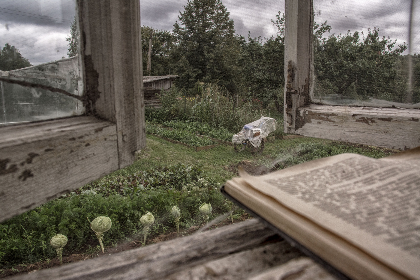 Жизнь вокруг