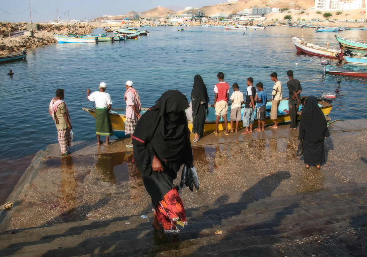 Свежий улов