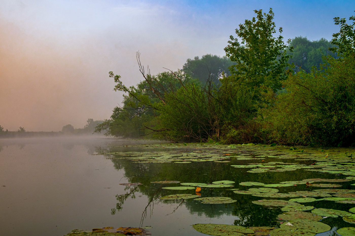 Утро на озере Студёное.