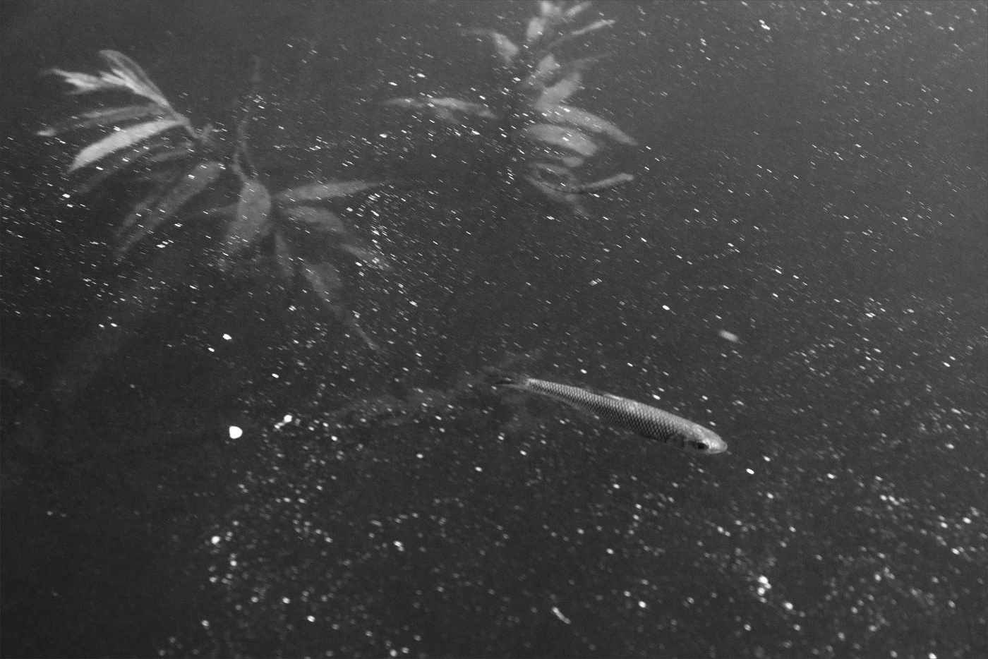 Жизнь вокруг