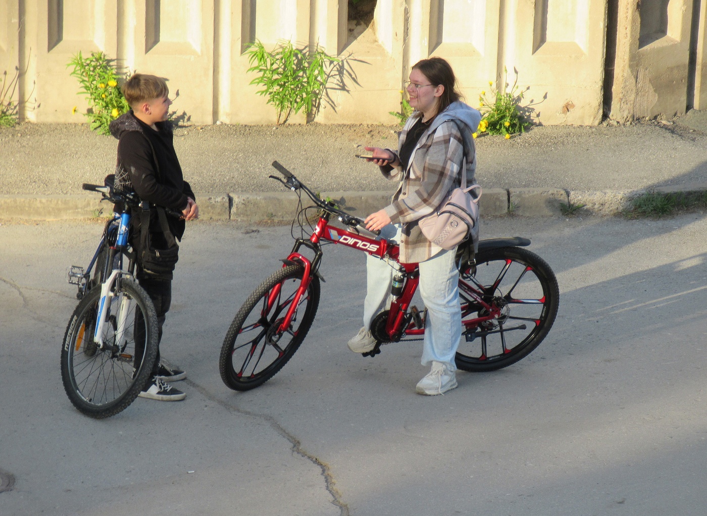 Весёлая история