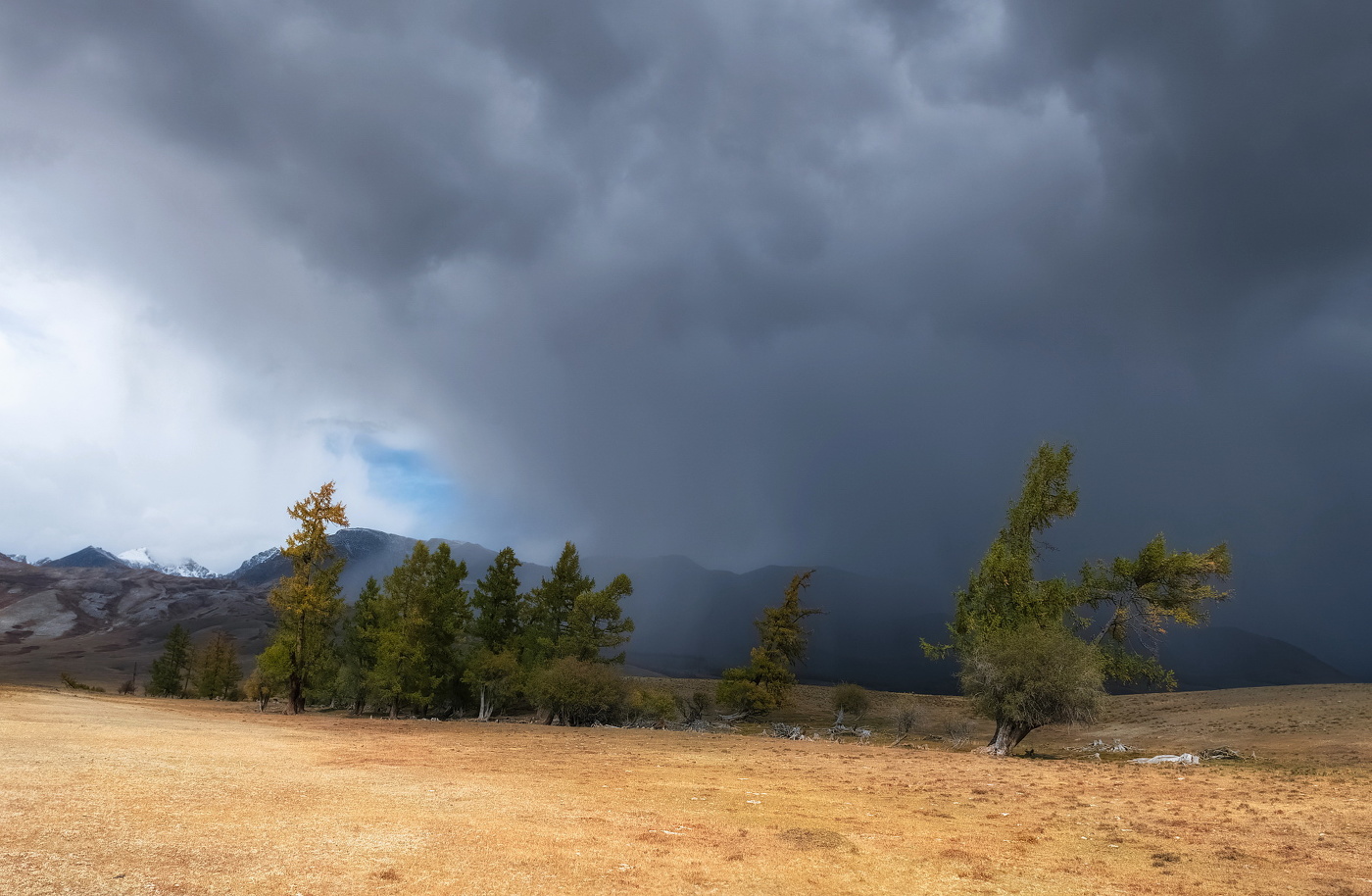 Приближение дождя