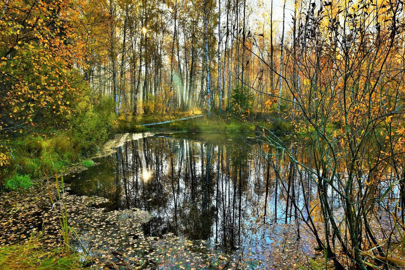 "Лесная гладь осеннего пруда и конфетти из листьев по воде..."