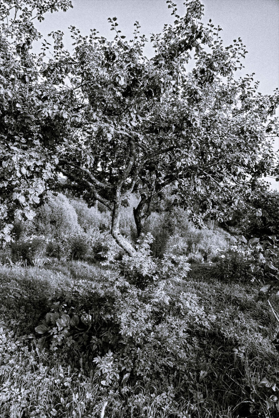 Жизнь вокруг