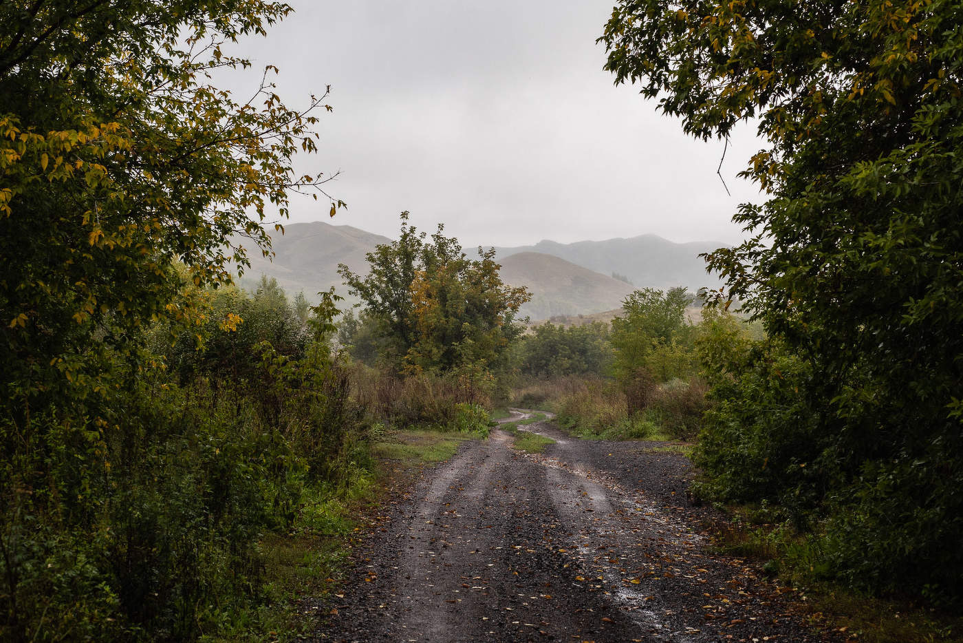 Осень совсем рядом