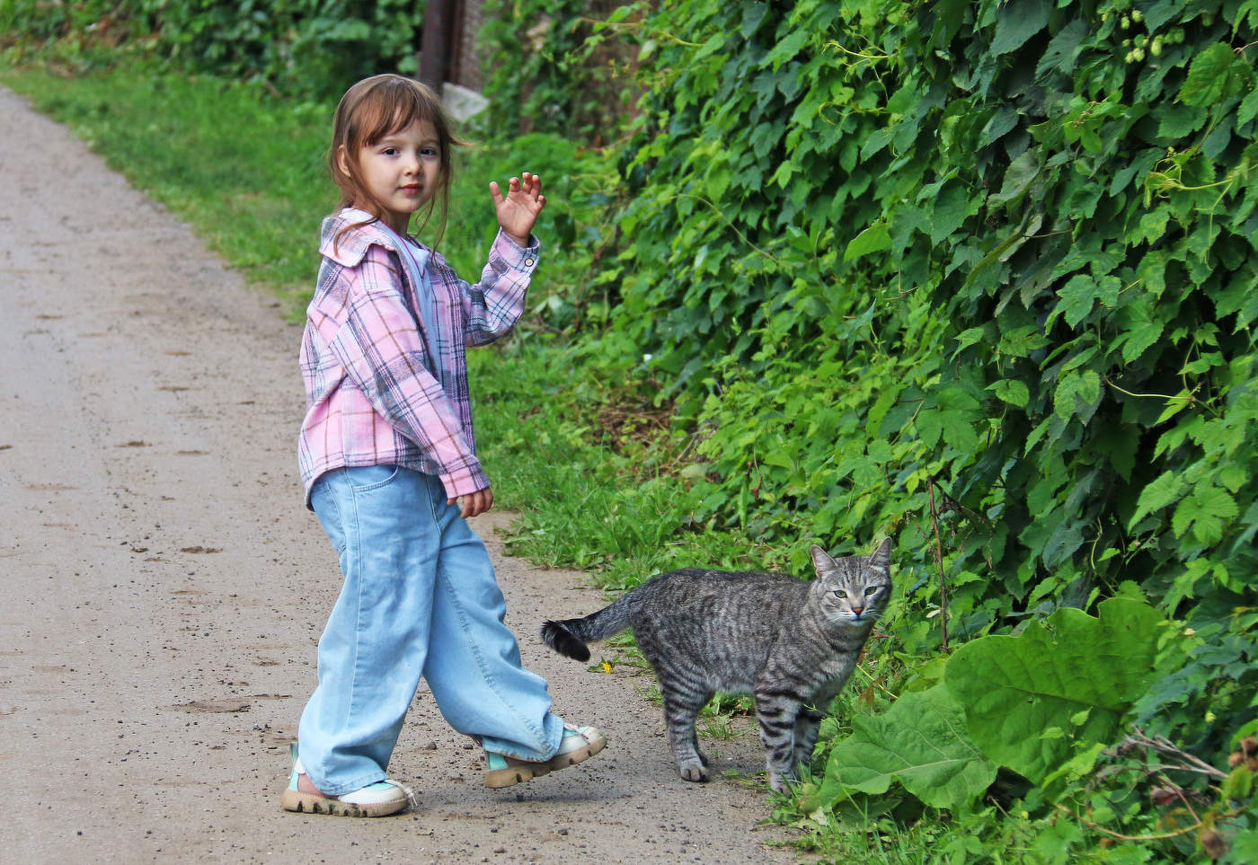 Прогулка с тигром