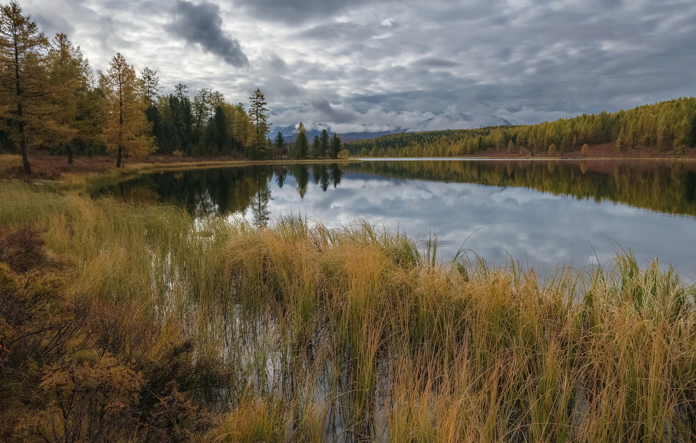 Такое разное Киделю