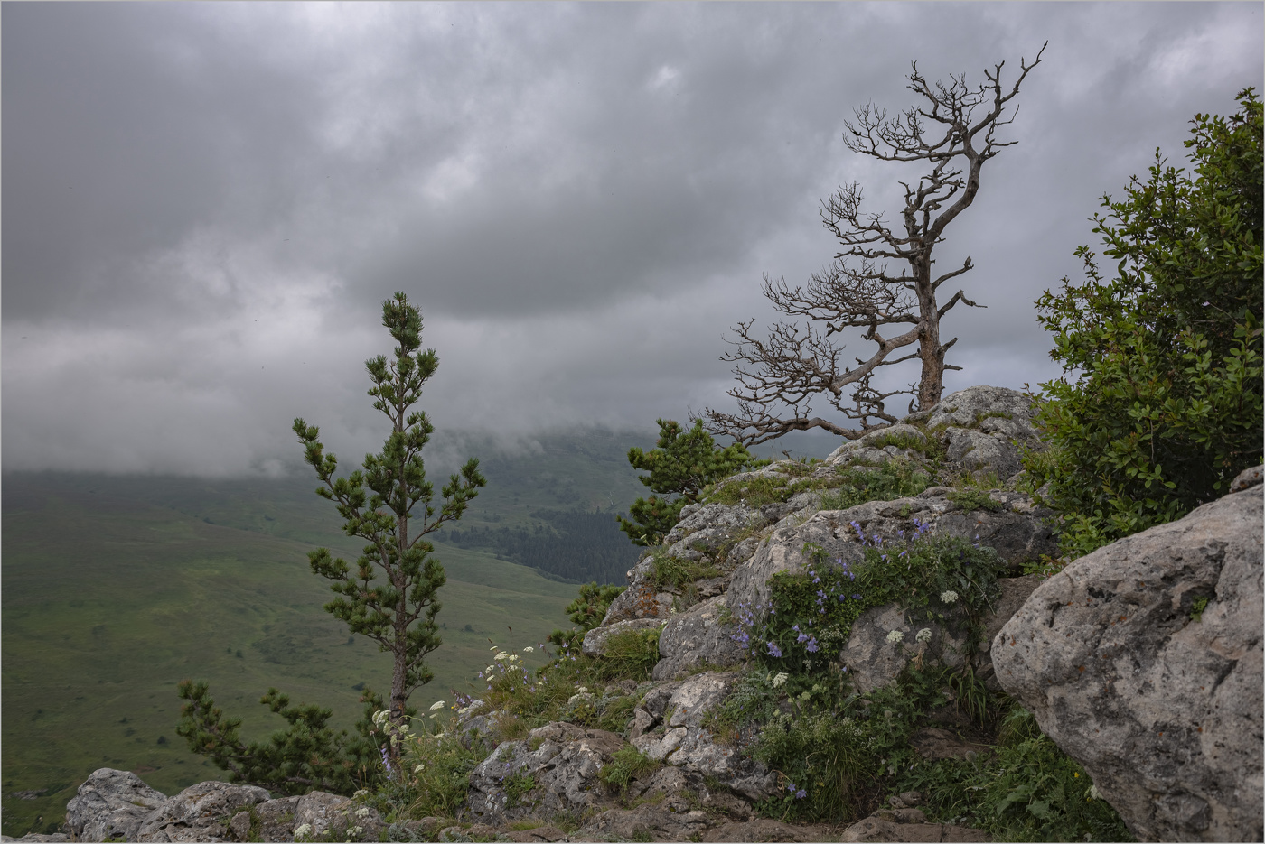 Выше облаков